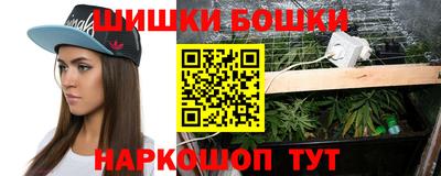 стафф Будённовск