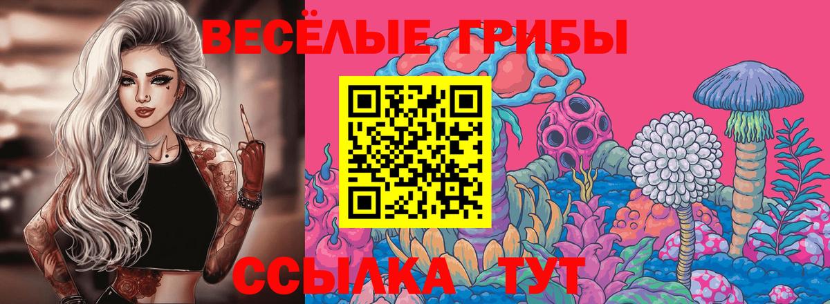 Галлюциногенные грибы GOLDEN TEACHER  Вход с VPN  Южно-Сахалинск 